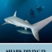 The Bahamas is known for shark encounters. Photo courtesy of PADI
