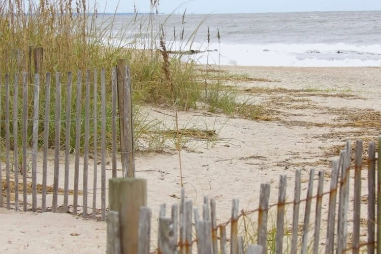 Edisto Beach, SC. Photo by Jamie Gregson, Unsplash