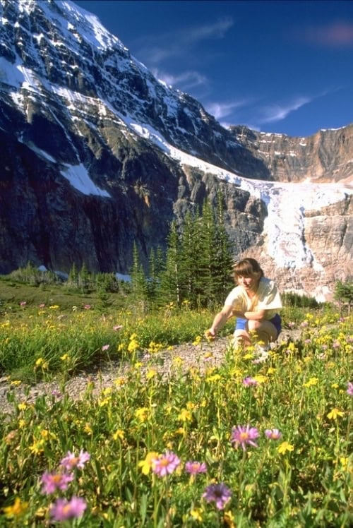 Edith Cavell hike among the wildflowers. Photo courtesy of Jasper Tourism