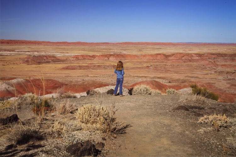 A view of the expansive Painted Desert in Petrified Forest National Park, AZ. Photo by Teri K. Miller