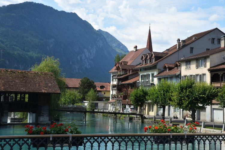 Bridges over the Aare River