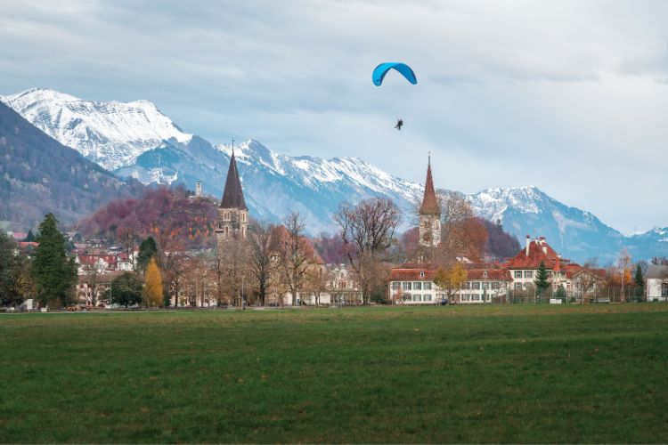 Paragliding over Hohematte Park