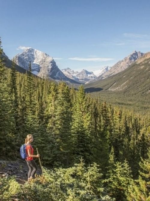 A scenic mountain trail in Jasper National Park. Photo courtesy of Jasper Tourism