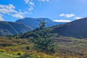 Mountain View Outside Fort William, Scotland. Photo by Alma Egan
