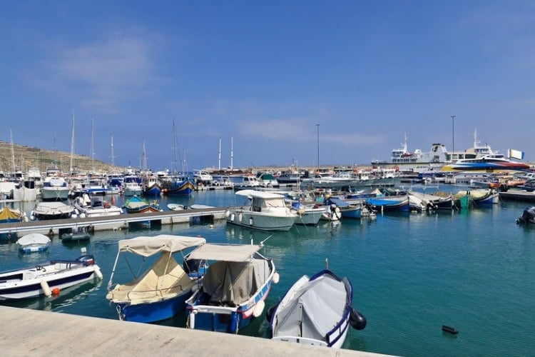 Amongst the boats and birds in Mgarr Harbour. Photo by Chris Saunders