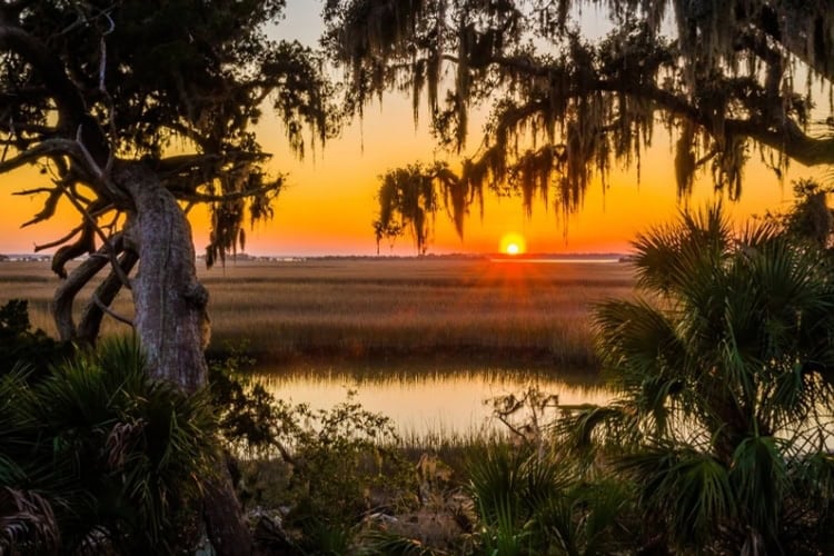 Salt marsh on Cumberland Island, Georgia. Photo by Posnov, iStock