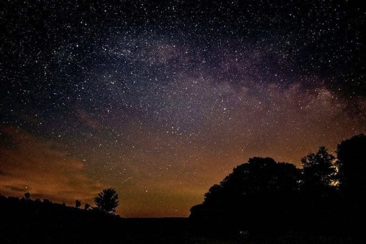 Susquehannock State Forest in the United States. Photo by Darryl Brian, Unsplash