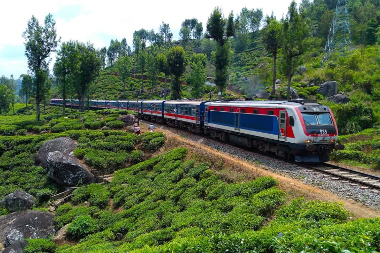 A train winds through Sri Lanka’s tea-covered hill country