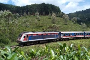 Sri Lanka's most beautiful train journey passes through tea-covered hills. Photo contributed by local photographer Osura Shalinda