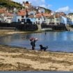 Staithes Harbour from the Shore. Photo by Alma Egan Pinterest