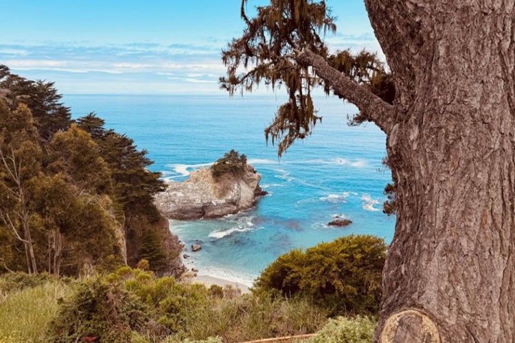 Hiking trail offering stunning ocean views. Photo by Jill Weinlein