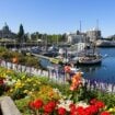 Explore beautiful Victoria, BC by sea and air. Image by pr2is from Getty Images via Canva