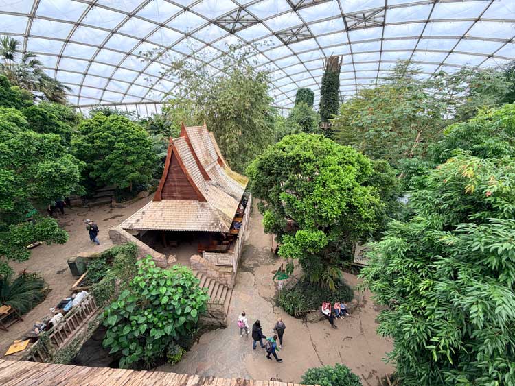 Gondwanaland at the Leipzig Zoo. Photo by Janna Graber