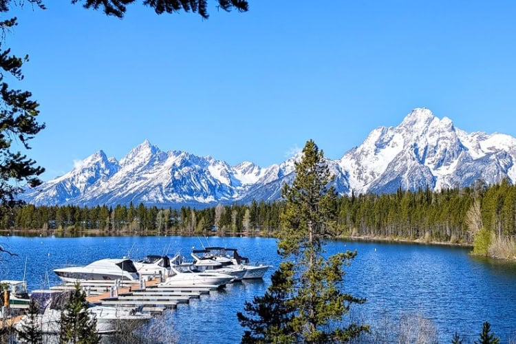 Colter Bay with Middle Teton (far left), Grand Teton (near left) and Mount Moran (right). Photo by Frank Hosek