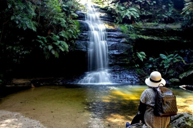 Dantes Glen is a short walk from Leura Cascades and will feel like a hidden gem in the forest valley. Photo by Ayan A