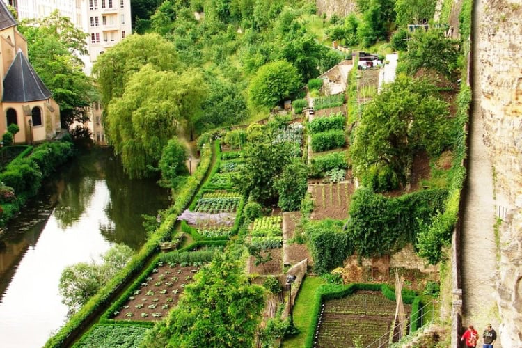 Another view of the gardens found below the Bock promontory. Photo by John M. Smith