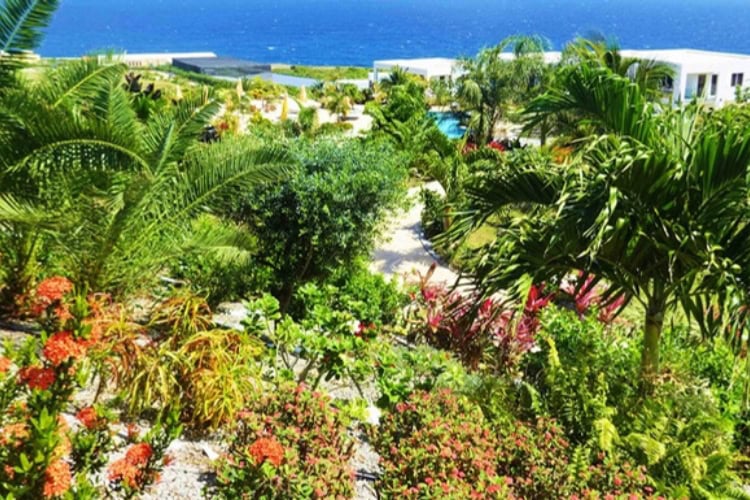 Lush tropical landscape at Golden Rock. Photo courtesy of the Golden Rock Botanical Gardens
