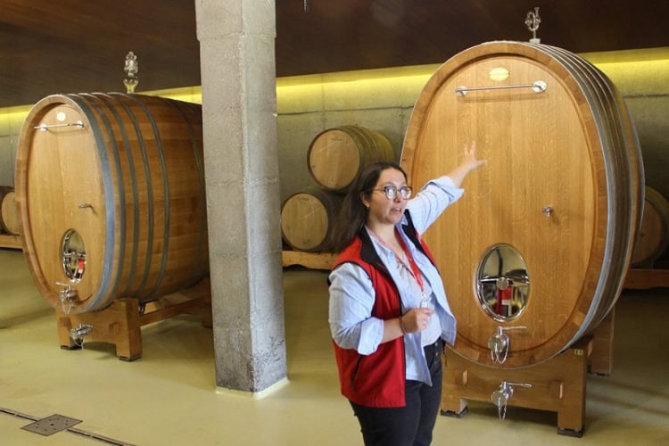 Clara Alfonsín of Bodegas Granbazán explains how some wines are aged in French oak barrels. Photo by Richard Varr
