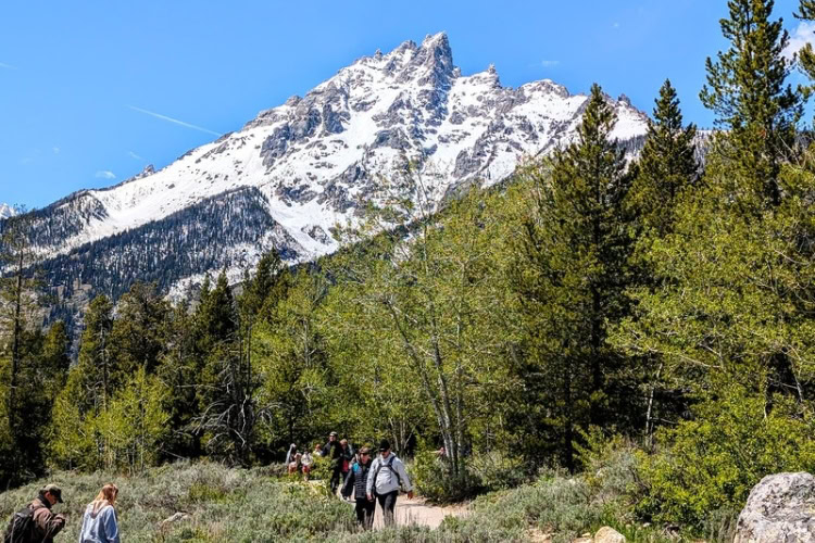Hikers on The Jenny Lake Loop. The trail winds its way around the lake encompassing 7 miles. Photo by Frank Hosek