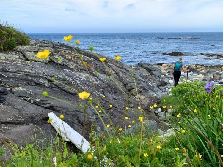 Hiking along the shore on Monhegan Island. Photo by the author