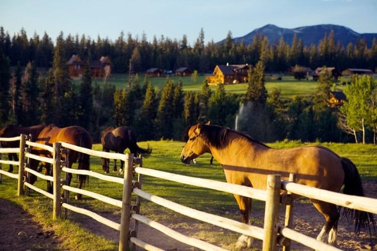 Ranch set on 160 acres surrounded by forests, canyons, and mountain ranges. Photo courtesy of EVR