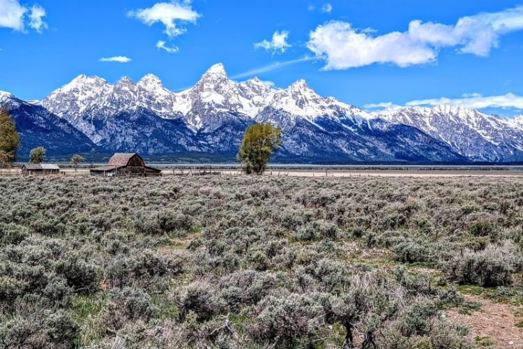 The Grand Tetons rise above the valley floor. The John Moulton Barn of Mormon Row lies along Antelope Flats Road. Photo by Frank Hosek