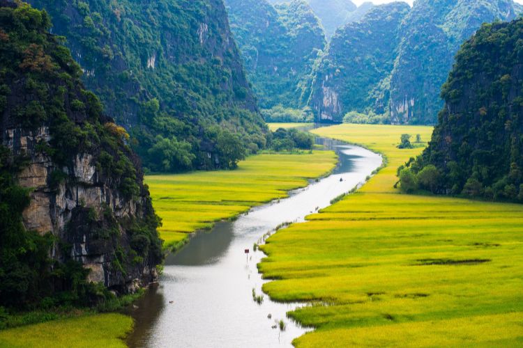 river runs through rice fields in Ninh Binh