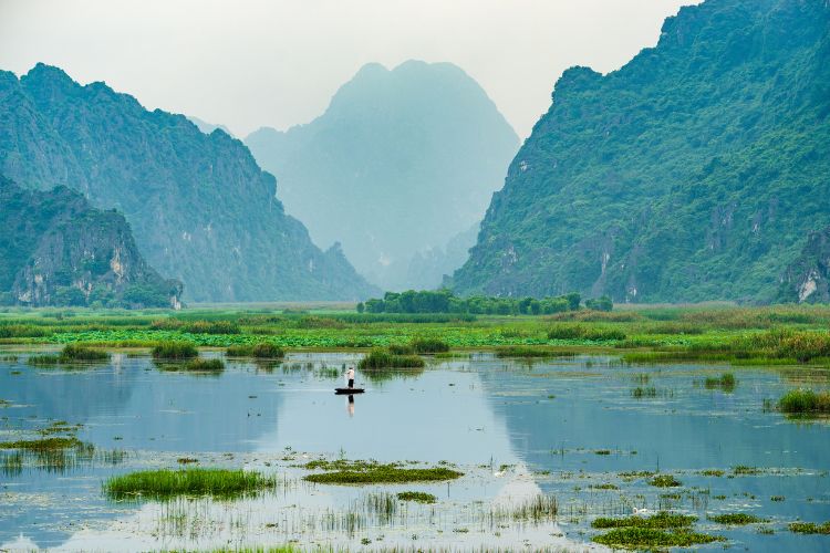 Van Long Natural Reserve