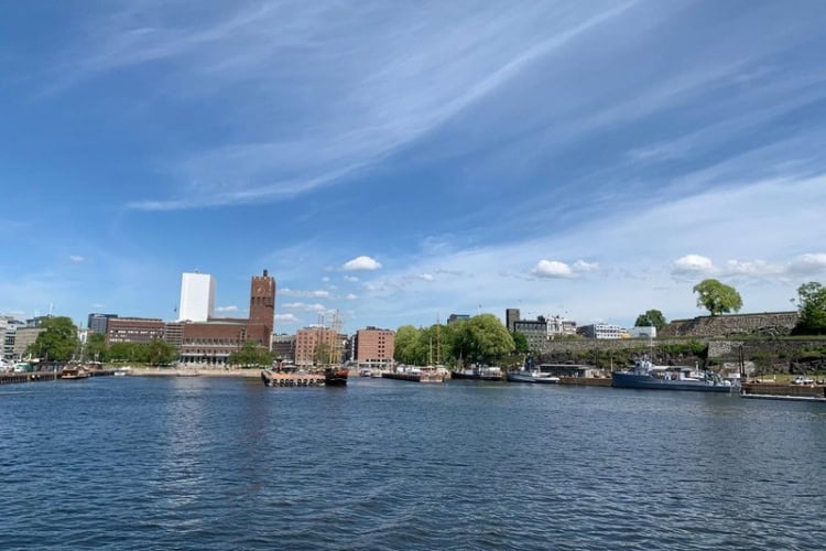 Oslo's picturesque waterfront, viewed from a scenic cruise on the Oslo Fjord. Photo by Ratna Singh
