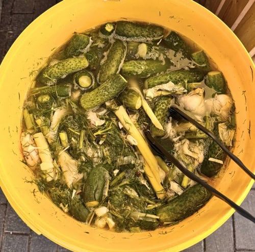 Pickle barrel in Balti Jaam market with stalks of lemongrass. Photo courtesy of the photographer