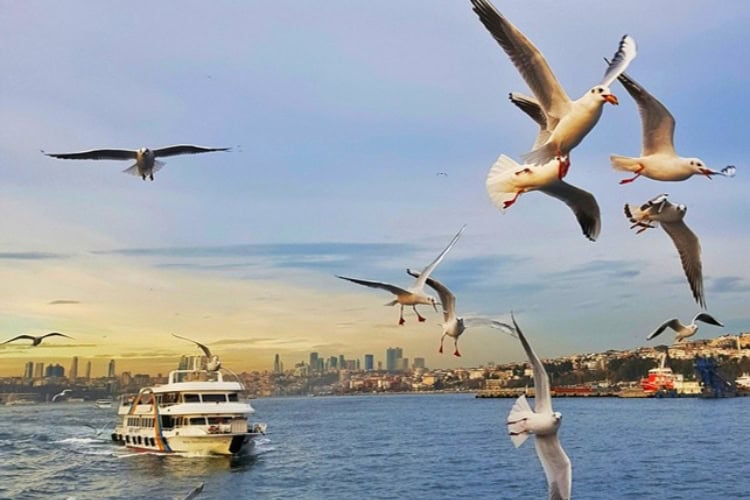 Bosphorus ferry, Istanbul, Turkey. Photo by Süheyl Burak, Unsplash