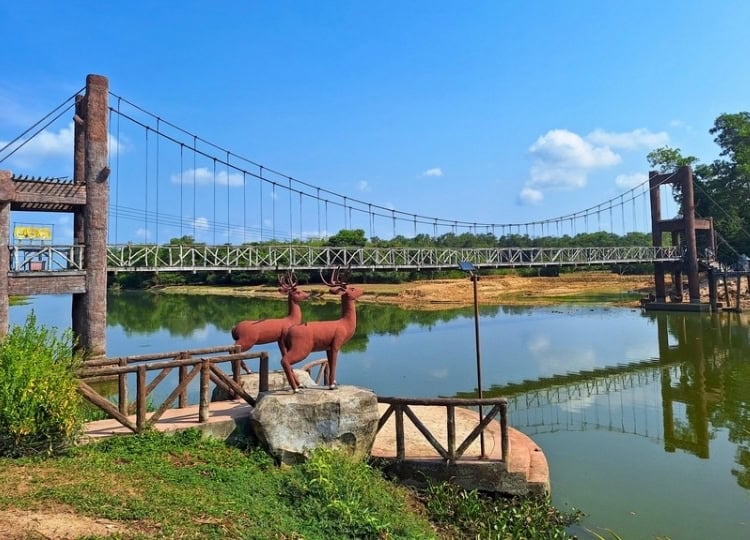 Suspension bridge and deer statues at Nong Yai Royal Development Project, the first stop on our bikepacking trip. Photo by Michael Cullen