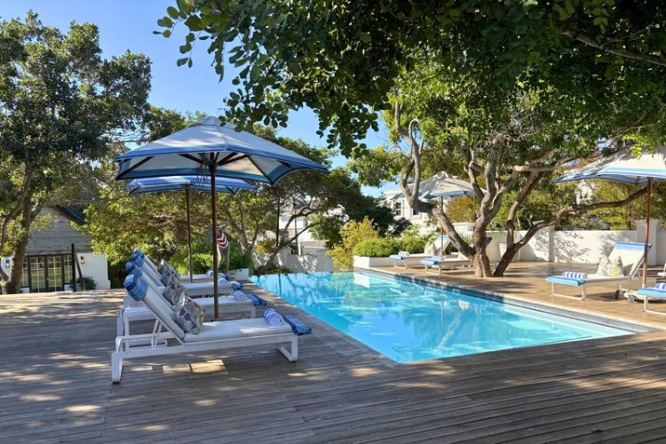 Swimming pool shaded by ancient Milkwood trees. Photo by Diane McLeish