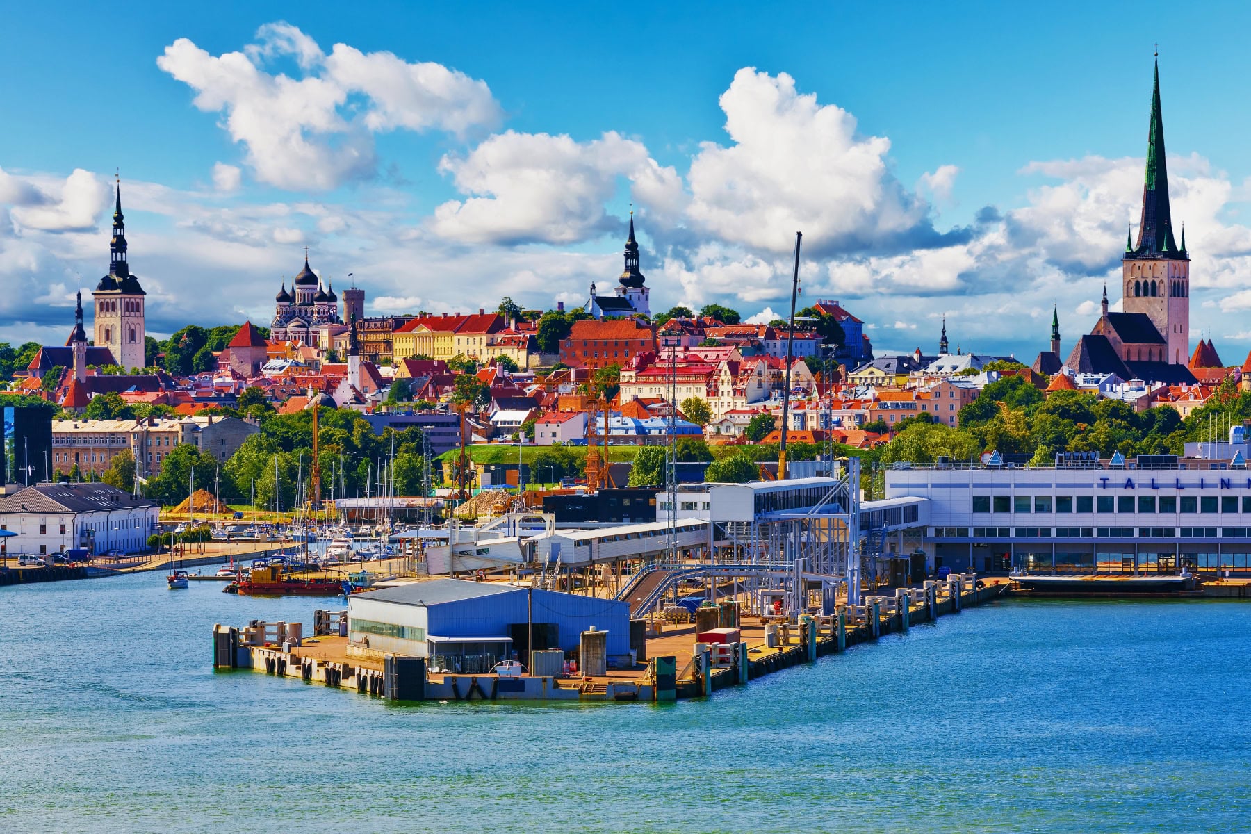 Inside Estonia's Michelin-Star Rise: From Tallinn's Markets to Two-Star Tasting Menus