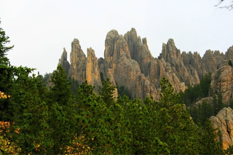 The jagged granite hills and dark green forests of the Black Hills. Photo by Frank Hosek