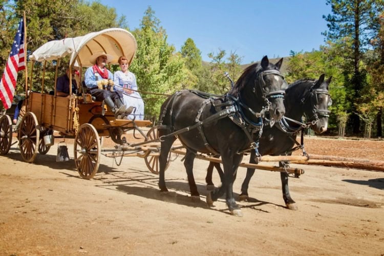 Gold was first discovered at the Marshall Gold Discovery State Historic Park. Photo courtesy of Visit El Dorado