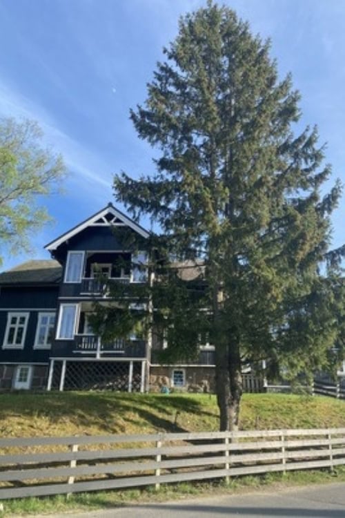 The quiet elegance of classic Norwegian abodes in Oslo. Photo by Ratna Singh