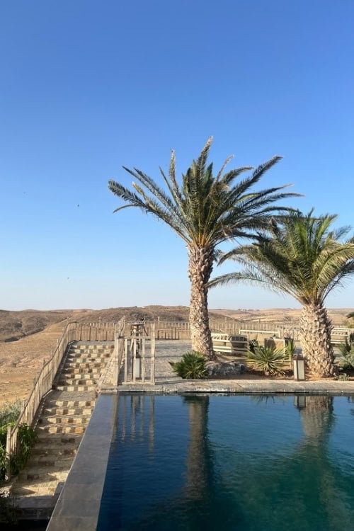 Two Palm Trees in the Afagay Desert, Morocco. Photo by Natasha Soares