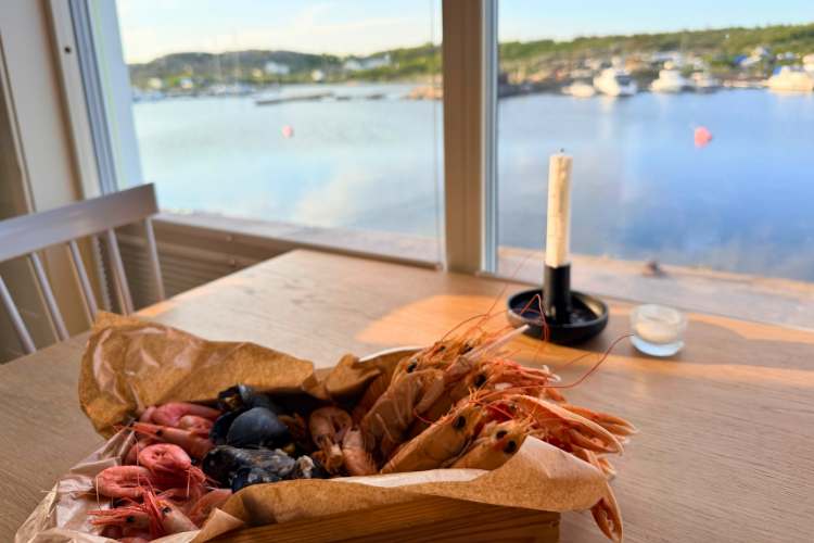 My delicious dinner in the boat house at Kajkanten. Each unit has its own kitchen. Photo by Janna Graber