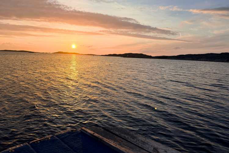 Soaking in the sunset. Photo by Janna Graber