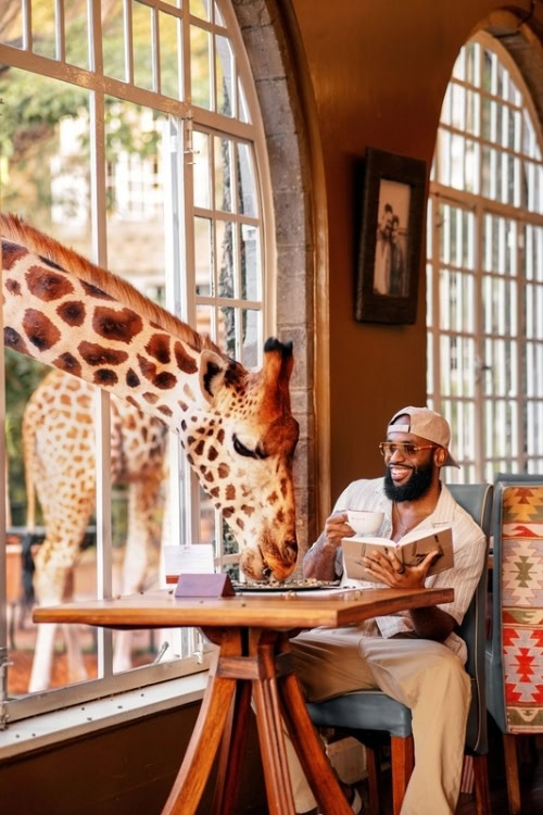Breakfast with a giraffe at Giraffe Manor in Nairobi. Photo by Youngafrikanna, Pexels