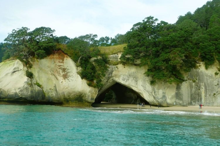 Cathedral Cove in New Zealand. Photo by Judy Barford