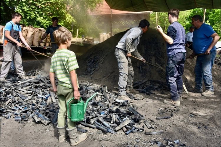 Charcoal spread out in a ring around the kiln. Photo by Sylvia Furrer