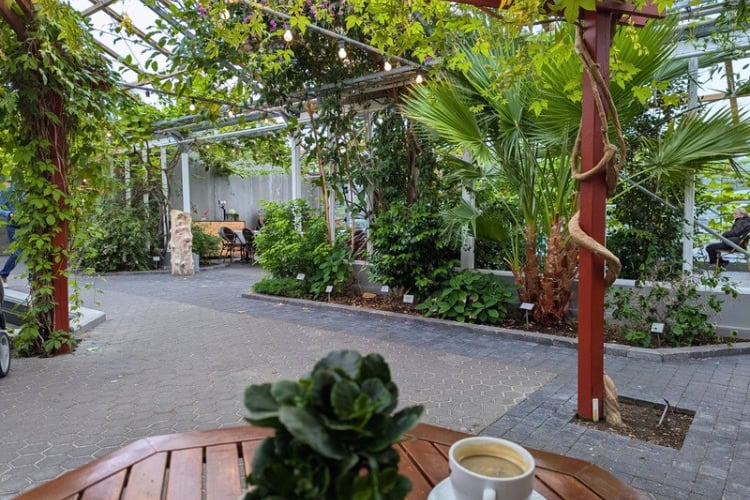 Flóran Café in Reykjavík’s Botanical Garden. Photo by Keri G