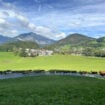 Mountain views and the cows coming home in the Tirolean mountains. Photo by Dara Wissinger Putz