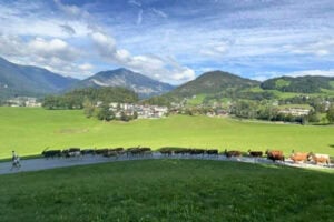Mountain views and the cows coming home in the Tirolean mountains. Photo by Dara Wissinger Putz