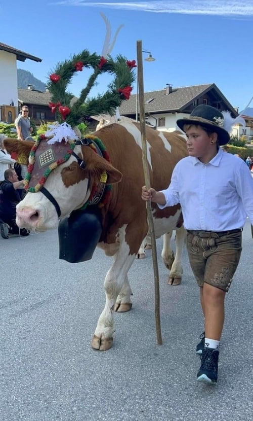 Local farm hand walking with the decorated cows. Photo by Dara Wissinger Pütz