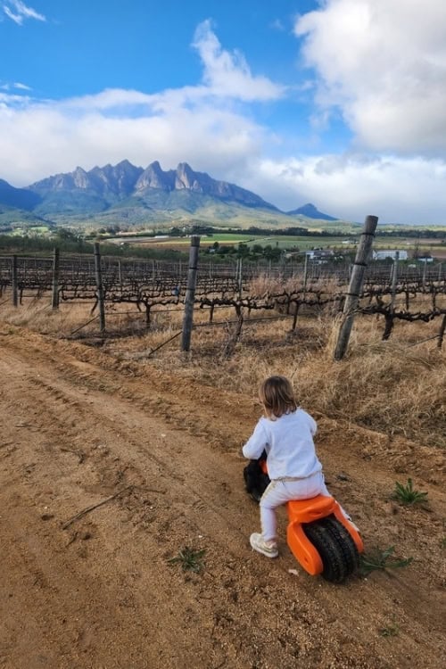 Family cycling in Wellington, South Africa. Photo by Janine Avery