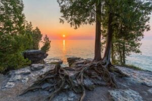 Gray tree trunk on gray sand during sunset in Door County, WI, USA. Photo by Dave Hoefler, Unsplash