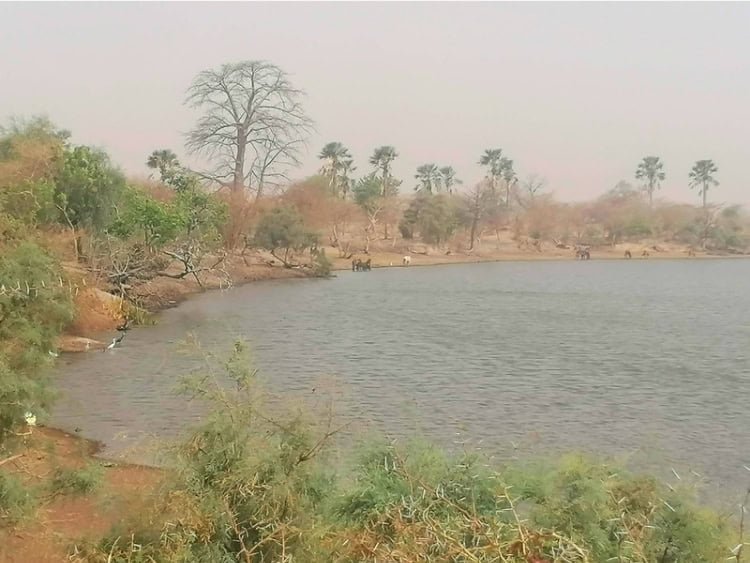 Inland lake on the northern shore of the Gambia River. Photo by Troy Nahumko